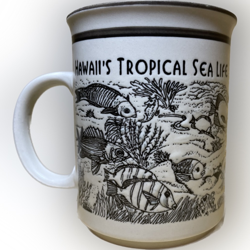 Hawaii's Tropical Sea Life Mug Stein Stone Finish 3d Relief Fish Coral Line Art